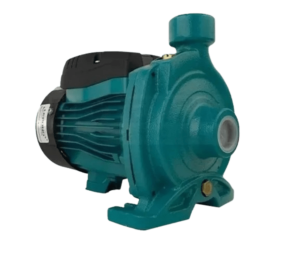 Motobomba Centrífuga ACM75 220V LEPONO
