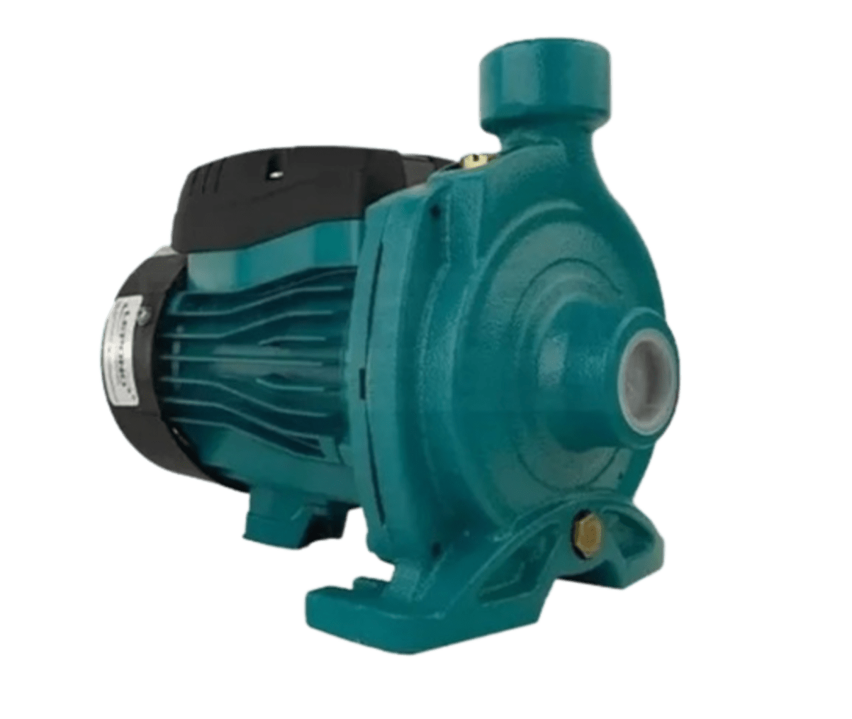 Motobomba Centrífuga ACM75 220V LEPONO