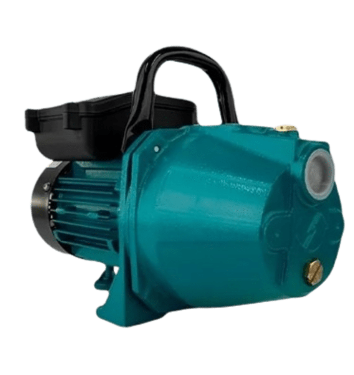 Motobomba Autoaspirante XKJ-1100I 220V LEPONO