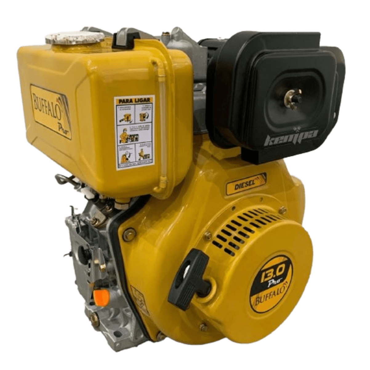 Motor Diesel Partida Elétrica 13CV BFDE13 PRO BUFFALO