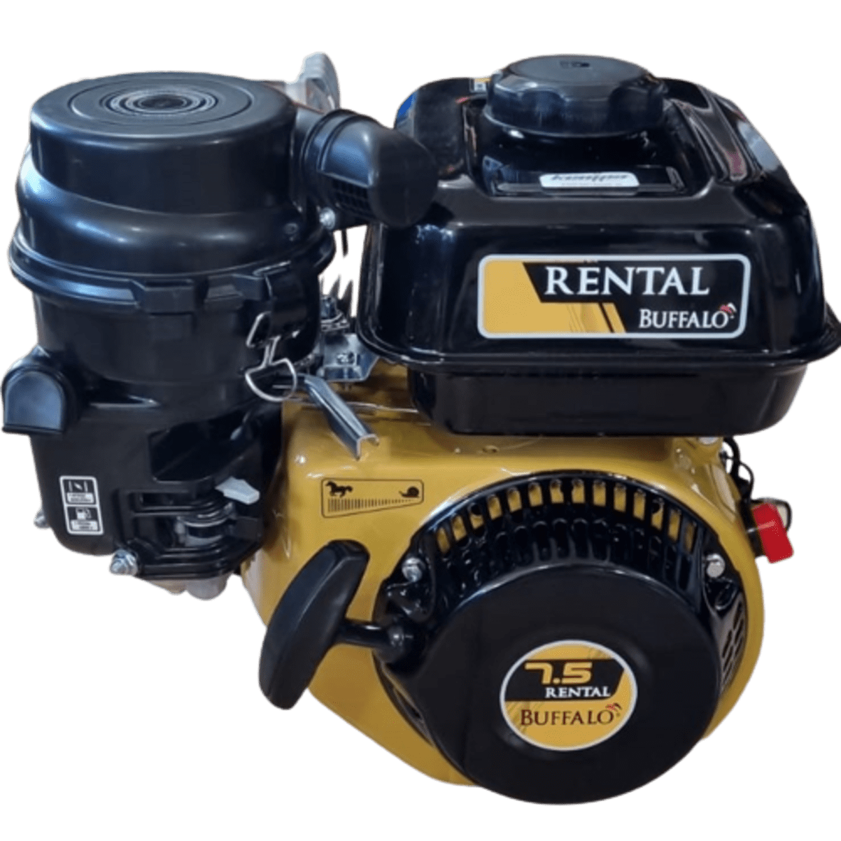 Motor Estacionário Gasolina BFG 4T 7.5 Rental BUFFALO